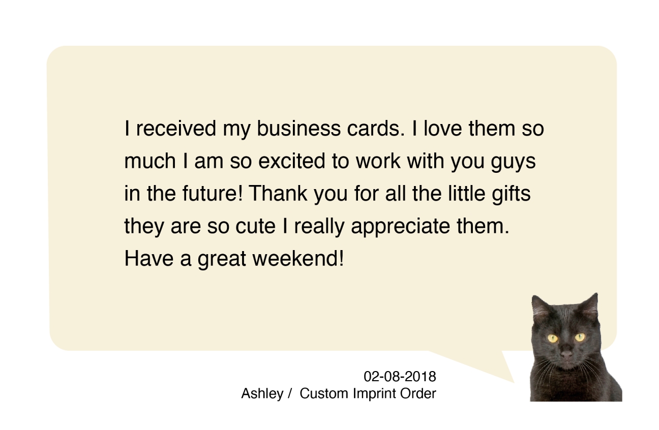 Black Cat Ashley