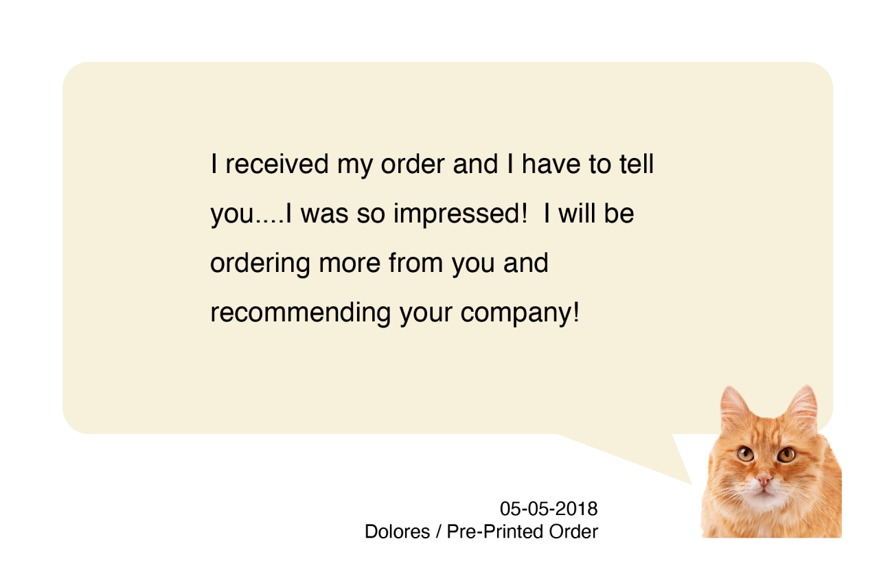 Orange Cat Delores
