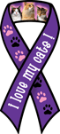 Cats - I love my thumbnail