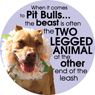 Pitbull Circle thumbnail