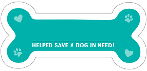 Bone Donation Card - Teal thumbnail