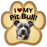 Pit Bull thumbnail