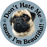 Don't Hate Me... Pug thumbnail