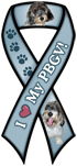 PBGV thumbnail