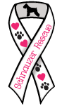 Schnauzer Rescue thumbnail