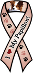 Papillon thumbnail