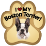 Boston Terrier thumbnail