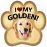 Golden Retriever thumbnail