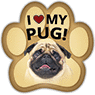Pug thumbnail