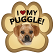 Puggle thumbnail