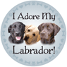Labrador thumbnail
