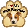 Jack Russell thumbnail