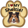 Sheltie thumbnail