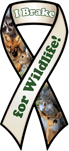 Wildlife thumbnail