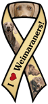 Weimaraner thumbnail