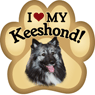 Keeshond thumbnail
