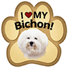 Bichon thumbnail