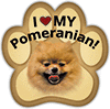 Pomeranian thumbnail
