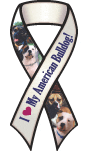 American Bulldog thumbnail