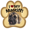 Mastiff thumbnail