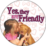 Pitbull - Yes, they are friendly thumbnail