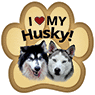 Husky thumbnail