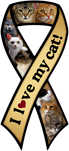 Cat - I love my thumbnail