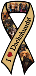 Dachshund thumbnail