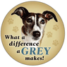 Greyhound thumbnail