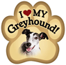 Greyhound thumbnail