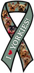 Yorkie thumbnail