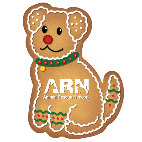 Gingerdog Holiday Card thumbnail