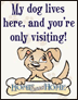 My dog lives here, and you're just visiting thumbnail