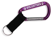 VOLUNTEER thumbnail