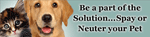 Spay or Neuter your Pet thumbnail