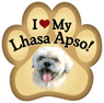 Lhasa Apso thumbnail
