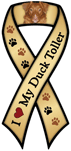 Nova Scotia Duck Toller thumbnail