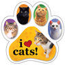 Cats thumbnail