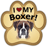 Boxer thumbnail
