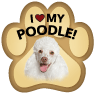 Poodle thumbnail