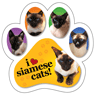 Siamese Cats thumbnail