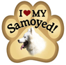 Samoyed thumbnail