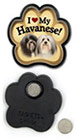 Havanese thumbnail