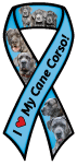 Cane Corso thumbnail