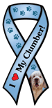 Clumber Spaniel thumbnail