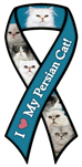 Persian Cat thumbnail