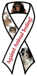 Against Animal Testing! thumbnail
