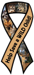 Wild Child thumbnail