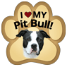 Pit Bull thumbnail