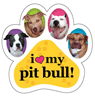 Pit Bull thumbnail